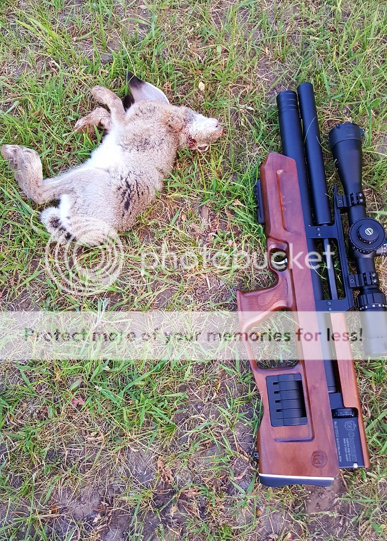 Utah Jack Rabbit (graphic).... Airgun Forum Airgun Nation Best